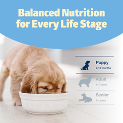 Blue Buffalo Freedom Grain-Free Puppy Dry Dog Food With DHA, Complete & Balanced Nutrition for Puppies, Made in the USA With Natural Ingredients, Chicken & Potatoes