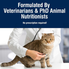 Blue Buffalo True Solutions Digestive Care Natural Dry Cat Food for Adult Cats, Chicken