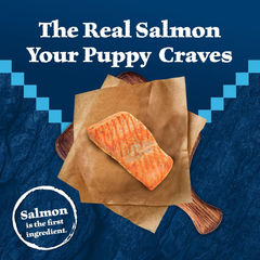 Blue Buffalo Wilderness High-Protein Natural Dry Food for Puppies, Salmon Recipe