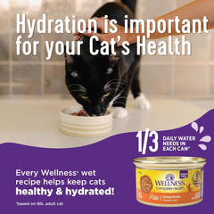 Wellness Complete Health Pate Adult Wet Cat Food, Natural, Protein-Rich, Grain Free(Chicken & Herring)