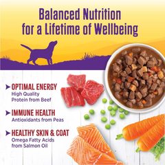 Wellness Complete Health Thick & Chunky Natural Grain Free Canned Wet Dog Food, Beef Stew