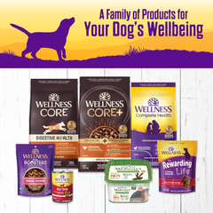 Wellness Complete Health Thick & Chunky Natural Grain Free Canned Wet Dog Food, Beef Stew