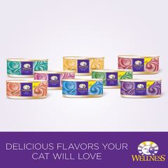 Wellness Complete Health Grain Free Turkey & Salmon Natural Wet Canned Cat Food