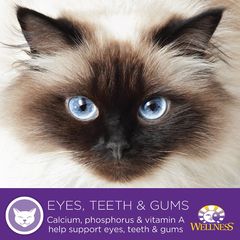 Wellness Complete Health Grain Free Turkey & Salmon Natural Wet Canned Cat Food