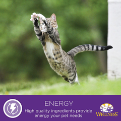 Wellness Complete Health Grain Free Turkey & Salmon Natural Wet Canned Cat Food