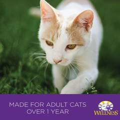 Wellness Complete Health Natural Canned Grain Free Wet Cat Food, Chicken & Herring Pate