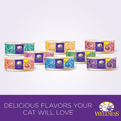 Wellness Complete Health Natural Canned Grain Free Wet Cat Food, Chicken & Herring Pate
