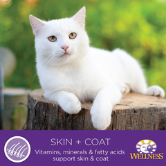 Wellness Complete Health Natural Canned Grain Free Wet Cat Food, Chicken & Herring Pate