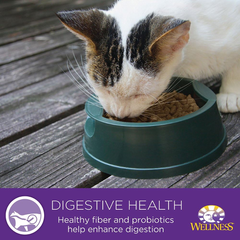 Wellness Complete Health Natural Canned Grain Free Wet Cat Food, Chicken & Herring Pate