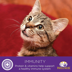 Wellness Complete Health Natural Canned Grain Free Wet Cat Food, Chicken & Herring Pate