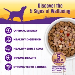 Wellness Complete Health Thick & Chunky Natural Grain Free Canned Wet Dog Food, Chicken Stew
