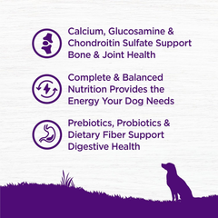 Wellness Complete Health Senior Dry Dog Food, Wholesome Grains, Natural, Age Advantage Chicken & Barley Recipe