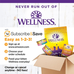 Wellness Complete Health Pate Kitten Wet Cat Food, Natural, Protein-Rich, Grain Free