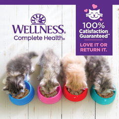 Wellness Complete Health Pate Kitten Wet Cat Food, Natural, Protein-Rich, Grain Free