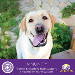 Wellness Complete Health Natural Dry Dog Food, Chicken & Oatmeal