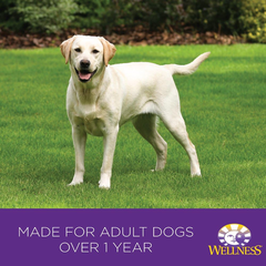 Wellness Complete Health Natural Dry Dog Food, Chicken & Oatmeal