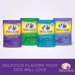 Wellness Complete Health Natural Dry Dog Food, Chicken & Oatmeal