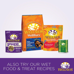 Wellness Complete Health Natural Dry Dog Food, Chicken & Oatmeal