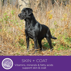 Wellness Complete Health Natural Dry Dog Food, Chicken & Oatmeal