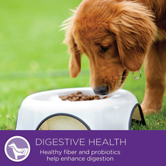 Wellness Complete Health Natural Dry Dog Food, Chicken & Oatmeal