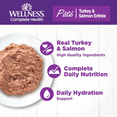 Wellness Complete Health Pate Adult Wet Cat Food, Natural, Protein-Rich, Grain Free(Turkey & Salmon)