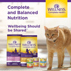 Wellness Complete Health Pate Adult Wet Cat Food, Natural, Protein-Rich, Grain Free(Turkey & Salmon)