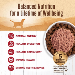Wellness 95% Beef Natural Wet Grain Free Canned Dog Food
