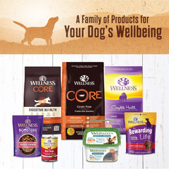 Wellness 95% Beef Natural Wet Grain Free Canned Dog Food