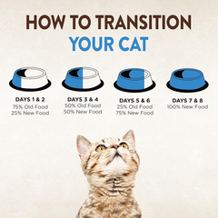 Wellness CORE Signature Selects Shredded Adult Wet Cat Food, Natural, Protein-Rich, Grain Free (Chicken & Chicken Liver)