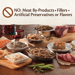 Wellness CORE Signature Selects Shredded Adult Wet Cat Food, Natural, Protein-Rich, Grain Free (Chicken & Turkey)