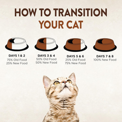 Wellness CORE Signature Selects Shredded Adult Wet Cat Food, Natural, Protein-Rich, Grain Free (Chicken & Turkey)