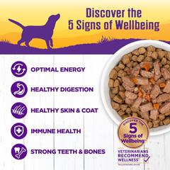 Wellness Complete Health Thick & Chunky Natural Canned Wet Dog Food, Turkey Stew