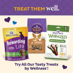 Wellness Old Mother Hubbard P-Nuttier Dog Biscuits, Natural, Training Treats, Peanut Butter Flavor, Mini Size