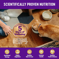 Wellness Complete Health Adult Dry Cat Food for Indoor Cats, Grain Free, Natural, Chicken & Chicken Meal