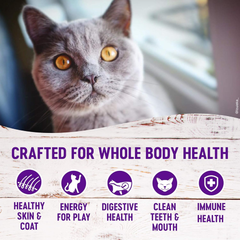 Wellness Complete Health Adult Dry Cat Food for Indoor Cats, Grain Free, Natural, Healthy Weight Chicken & Turkey Meal