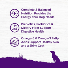 Wellness Complete Health Dry Dog Food, Wholesome Grains, Natural, Beef & Barley Recipe
