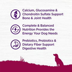 Wellness Complete Health Senior Dry Dog Food, Small Breed, Wholesome Grains, Natural, Age Advantage Turkey & Peas Recipe