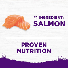 Wellness Complete Health Sensitive Skin & Stomach Dry Dog Food, Wholesome Grains, Natural, Salmon & Rice Recipe