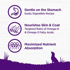 Wellness Complete Health Sensitive Skin & Stomach Dry Dog Food, Wholesome Grains, Natural, Salmon & Rice Recipe