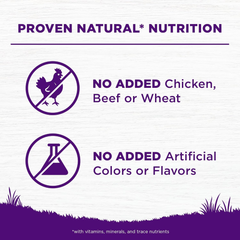 Wellness Complete Health Sensitive Skin & Stomach Dry Dog Food, Wholesome Grains, Natural, Salmon & Rice Recipe