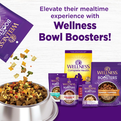 Wellness Complete Health Sensitive Skin & Stomach Dry Dog Food, Wholesome Grains, Natural, Salmon & Rice Recipe
