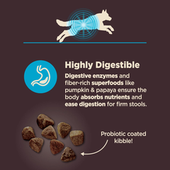 Wellness CORE Digestive Health Dry Dog Food, Wholesome Grains, Natural, Ingredients for Dogs with Sensitive Stomachs, Whitefish & Brown Rice Recipe