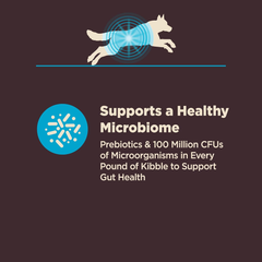 Wellness CORE Digestive Health Dry Dog Food, Wholesome Grains, Natural, Ingredients for Dogs with Sensitive Stomachs, Whitefish & Brown Rice Recipe