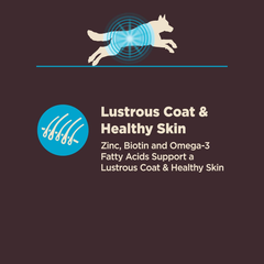 Wellness CORE Digestive Health Dry Dog Food, Wholesome Grains, Natural, Ingredients for Dogs with Sensitive Stomachs, Whitefish & Brown Rice Recipe