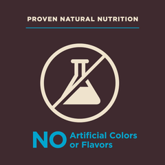 Wellness CORE Digestive Health Dry Dog Food, Wholesome Grains, Natural, Ingredients for Dogs with Sensitive Stomachs, Whitefish & Brown Rice Recipe