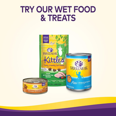 Wellness Complete Health Adult Dry Cat Food for Indoor Cats, Grain Free, Natural, Salmon and Herring Meal