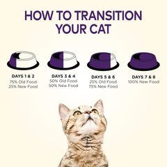 Wellness Complete Health Adult Dry Cat Food for Indoor Cats, Grain Free, Natural, Salmon and Herring Meal