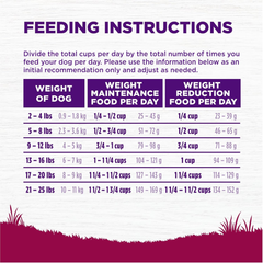 Wellness Complete Health Small Breed Dry Dog Food with Grains, Natural Ingredients, Made in USA with Real Turkey, For Dogs Up to 25 lbs (Adult, Healthy Weight Turkey & Rice)
