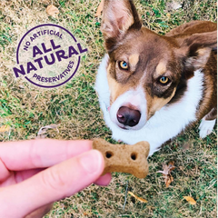 Wellness Old Mother Hubbard P-Nuttier 'N Nanners Dog Biscuits, Natural, Training Treats, Peanut Butter & Banana Flavor, Mini Size