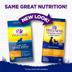 Wellness Complete Health Large Breed Dry Dog Puppy Food with Grains, Natural Ingredients, Made in USA with Real Meat (Puppy, Chicken, Salmon & Rice)